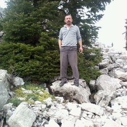 Hadi
