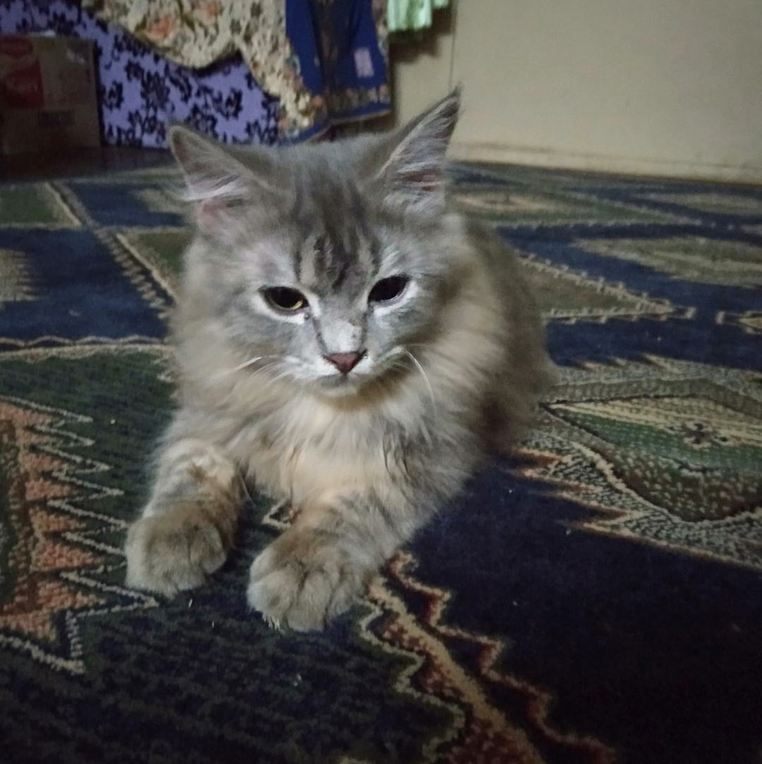 Nurasiah