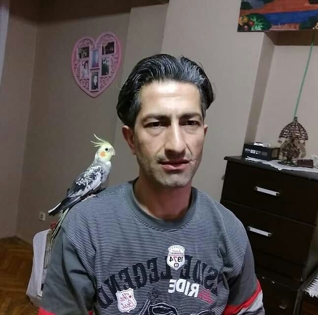 Cihan