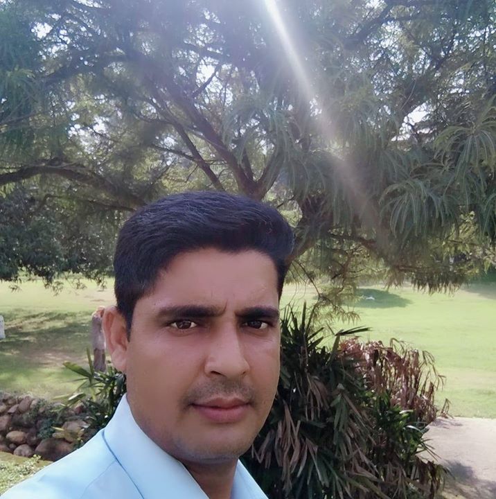 Anil