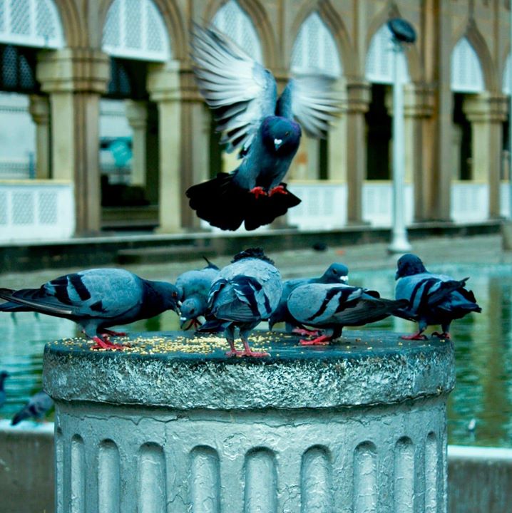 Yusuf