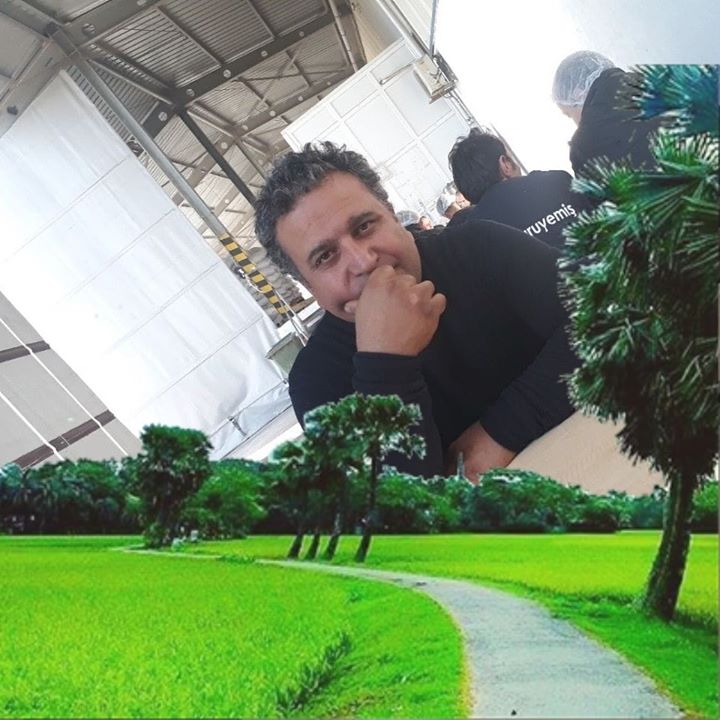 Ferdi