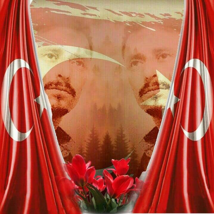 Halil