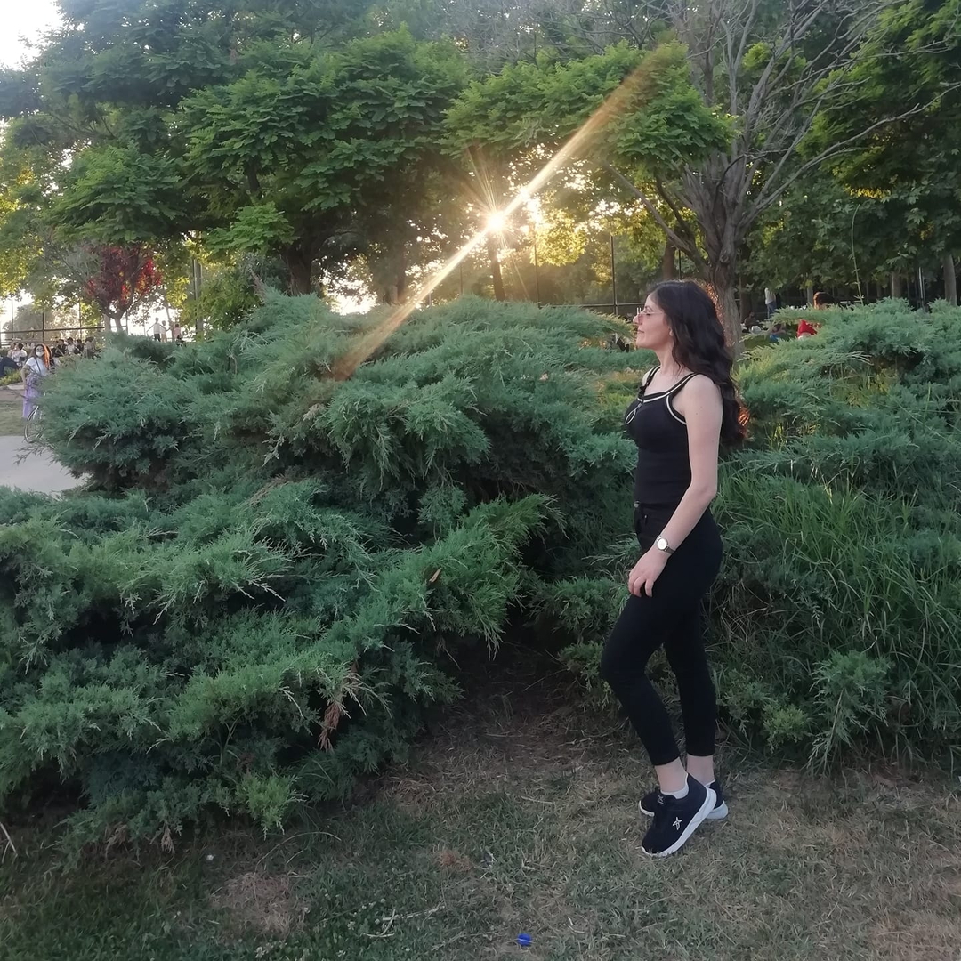 Sibel