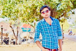 Ankit