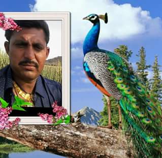 Ghabhabhai