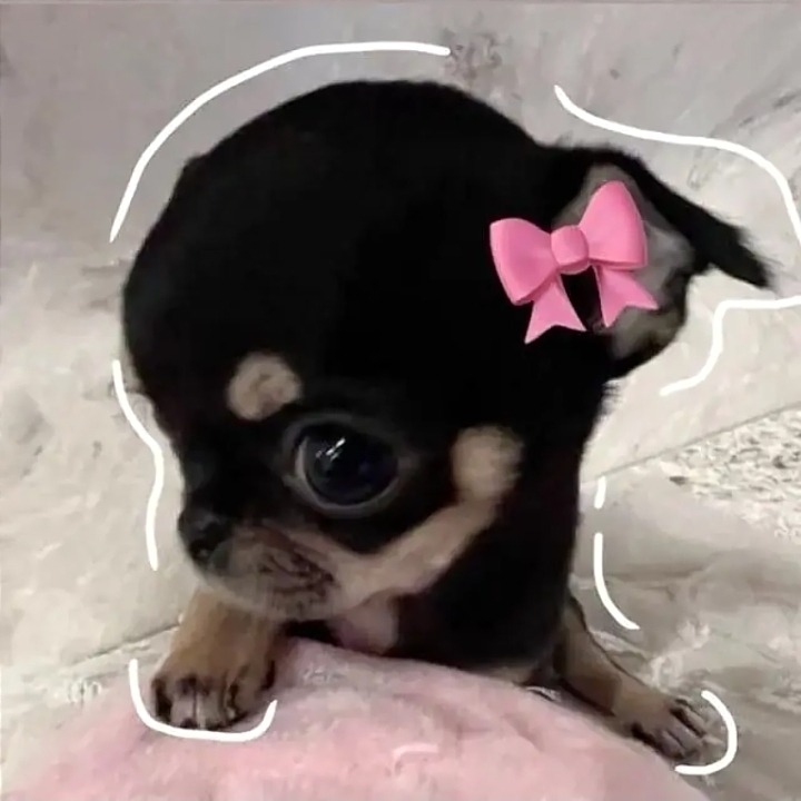 Luiza