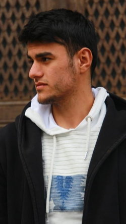 Sahin