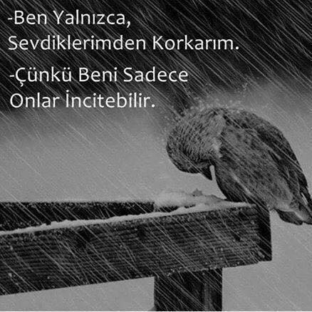 Umut