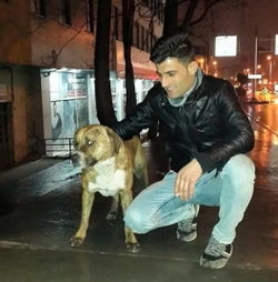 Kuralları