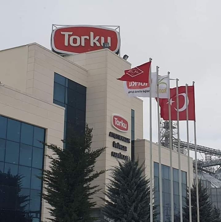 Torkuçumralilar