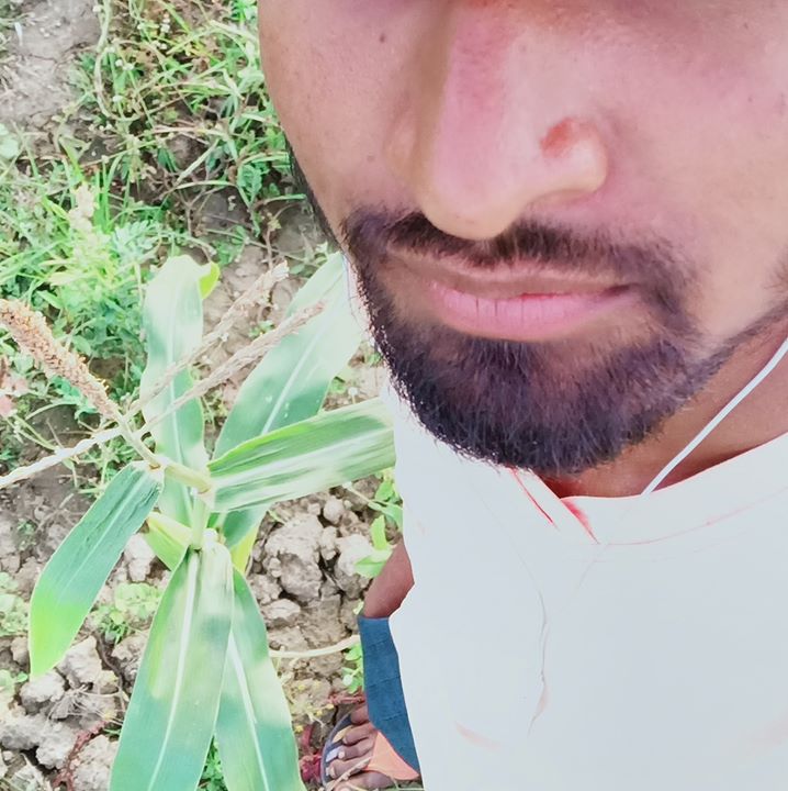 M K Patel