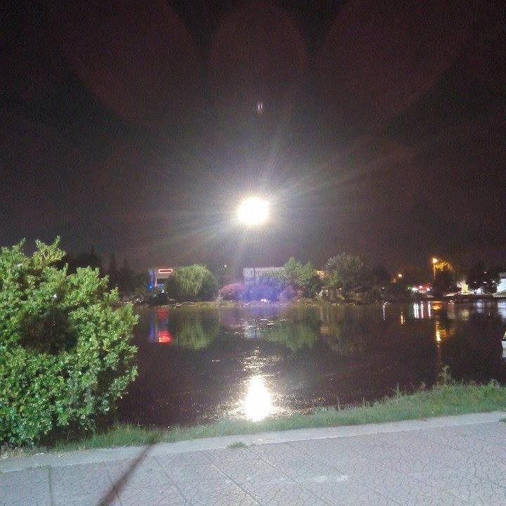 Rasim
