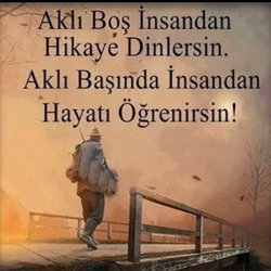 Doğan