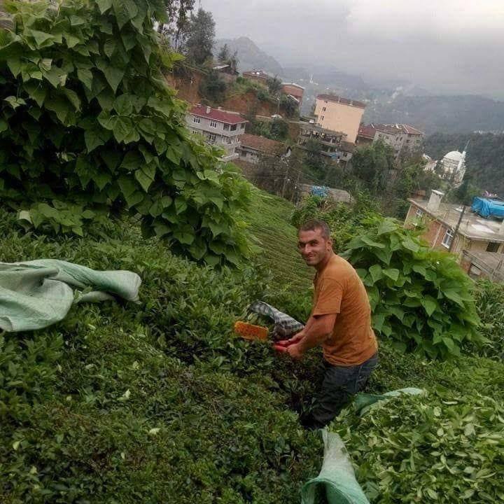 Süleyman