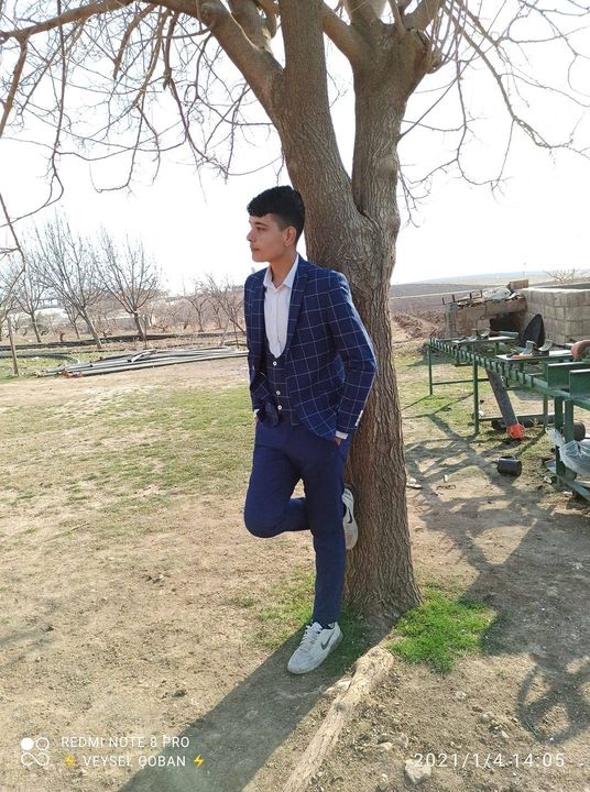 Veysel