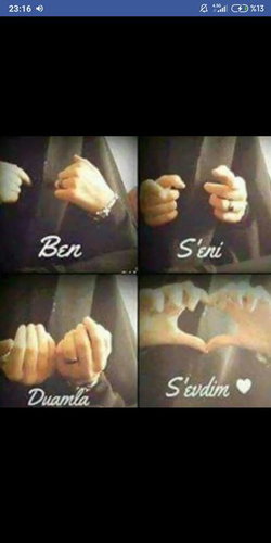 Sibel