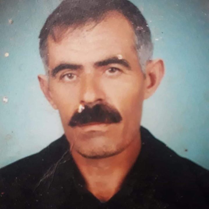 Vedo
