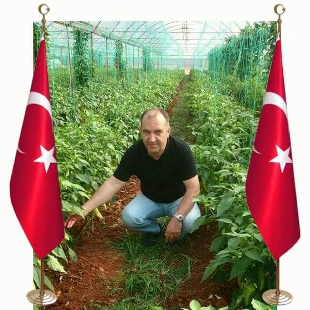 Abdullah