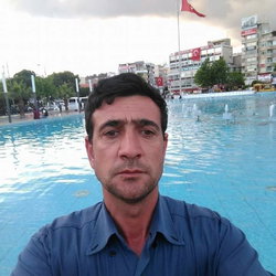 Ozay