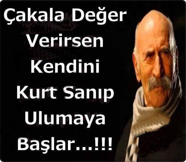 Solnişko