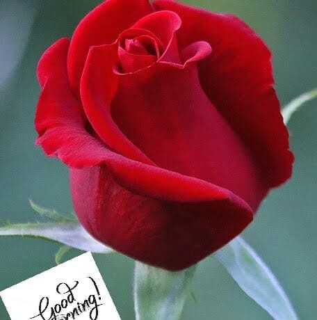 Rakesh