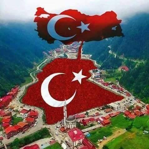 Umut