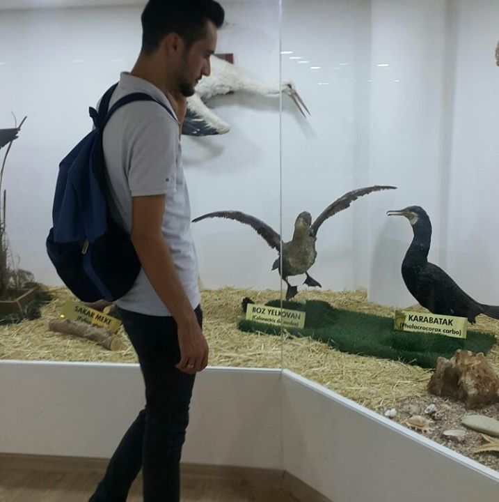 Kadir