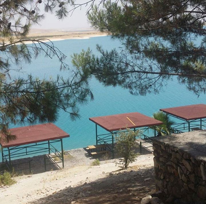 حافظ