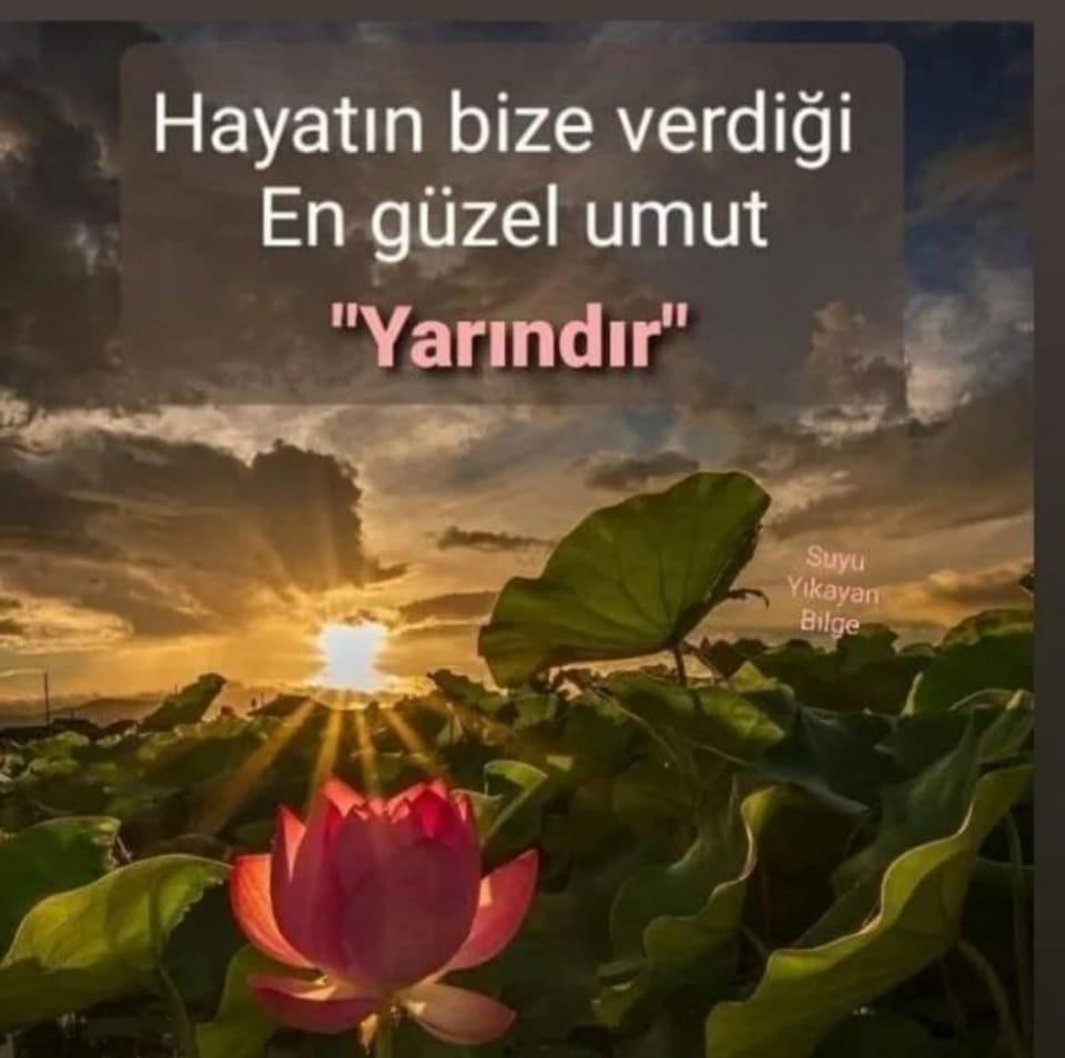 Ayfr