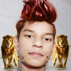 Ankit
