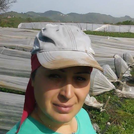 Gülcan