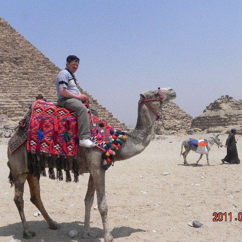 Seyfullah