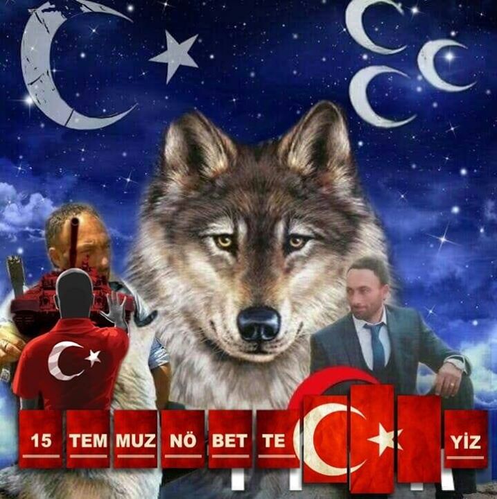 Bozkurt