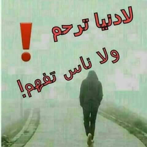 عدي