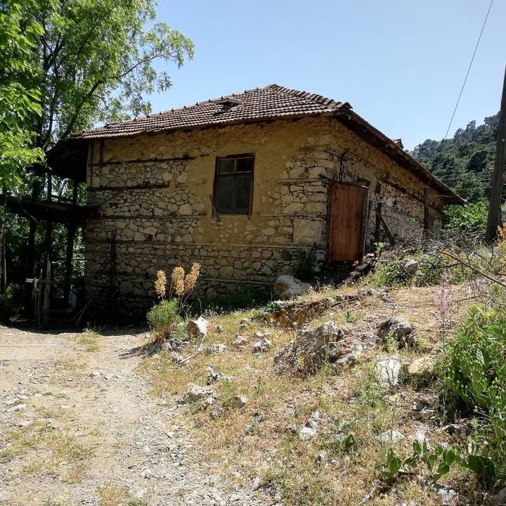 Aysun
