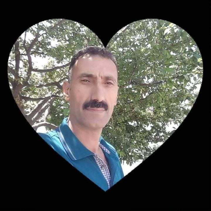 Doğan