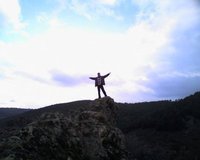 Bulent