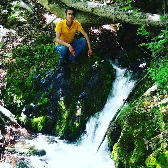 Hamdi