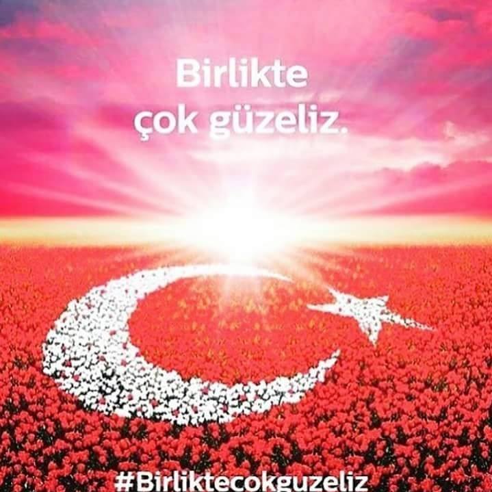 Samet