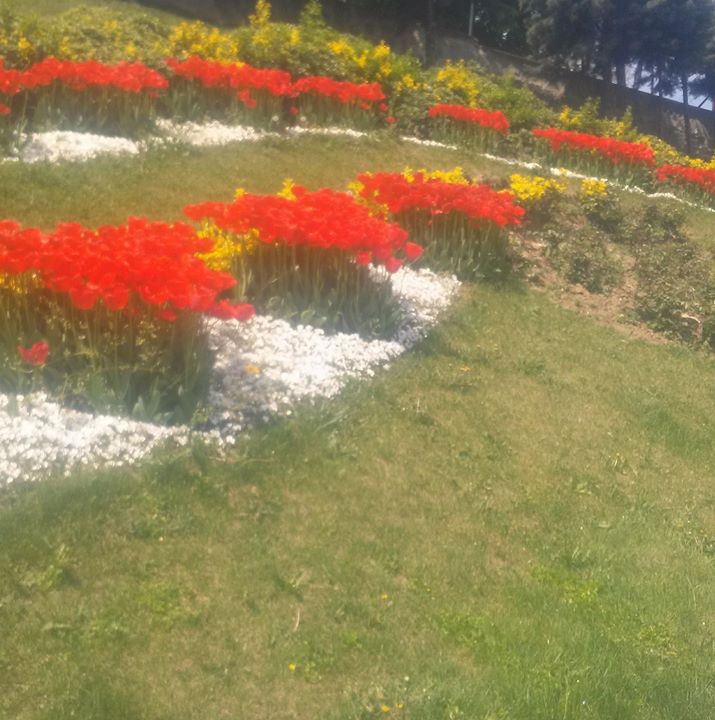 Kazım