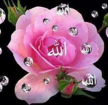 Hasoon