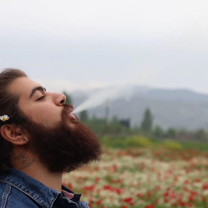 Kaan