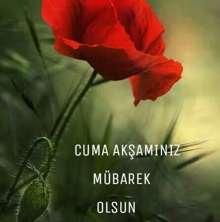 Recep