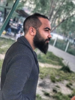 Şahin