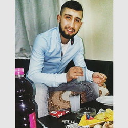 Şahin