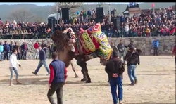 Metin