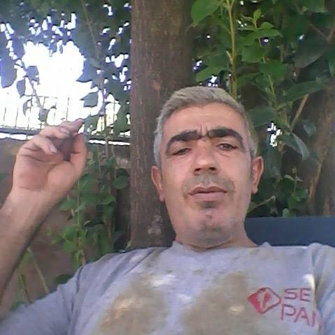 Teoman
