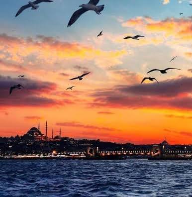 Yigit