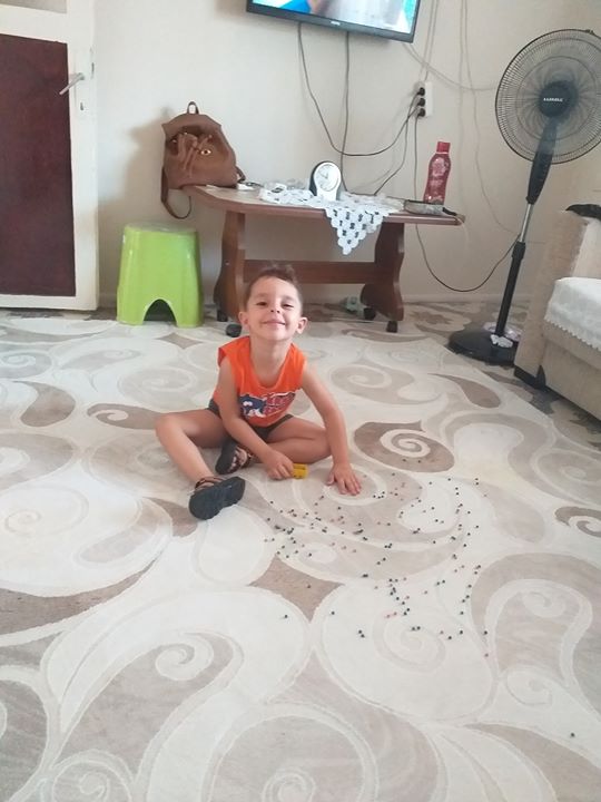 Metin